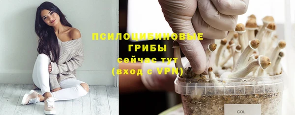 ECSTASY Арсеньев