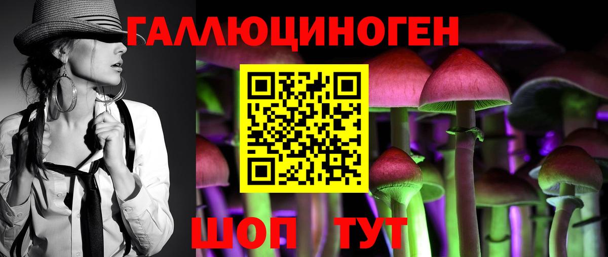 Строитель  Псилоцибиновые грибы GOLDEN TEACHER  Вход с VPN 