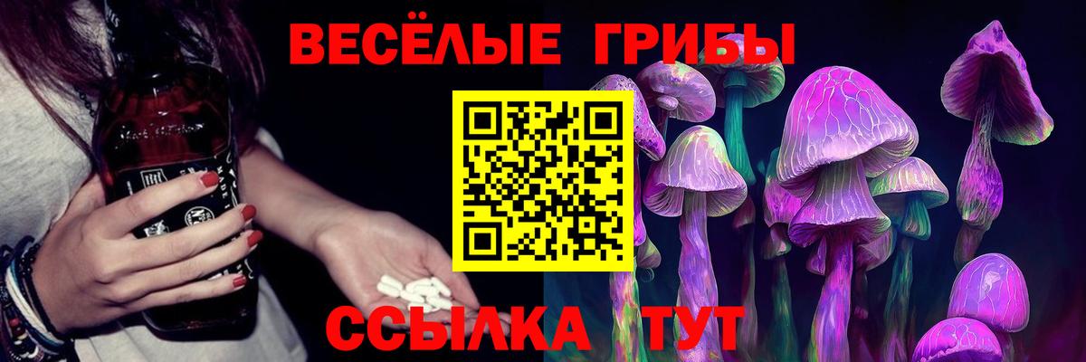 Псилоцибиновые грибы ЛСД Строитель