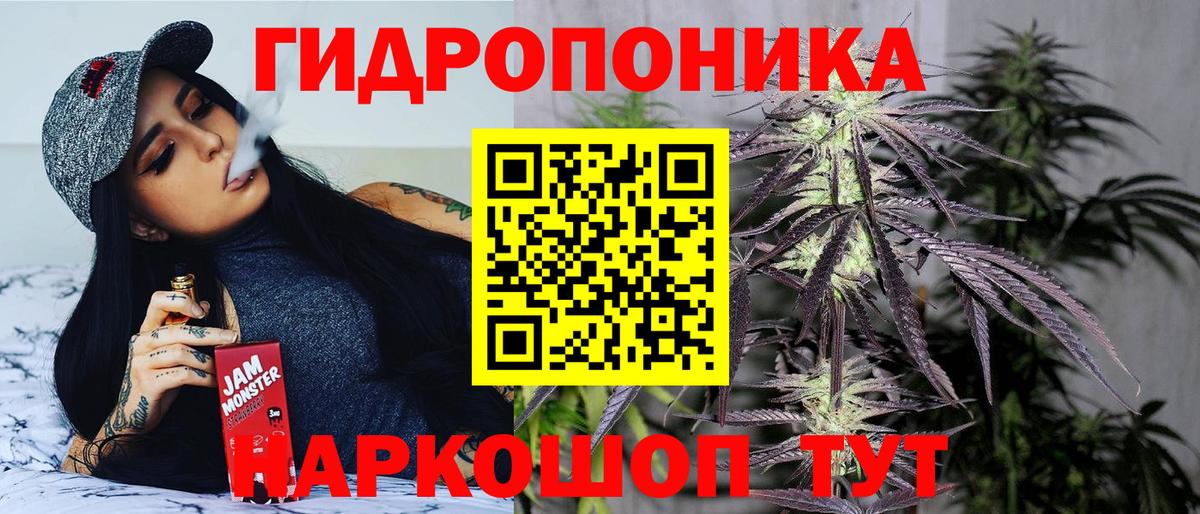 Бошки Шишки семена Строитель